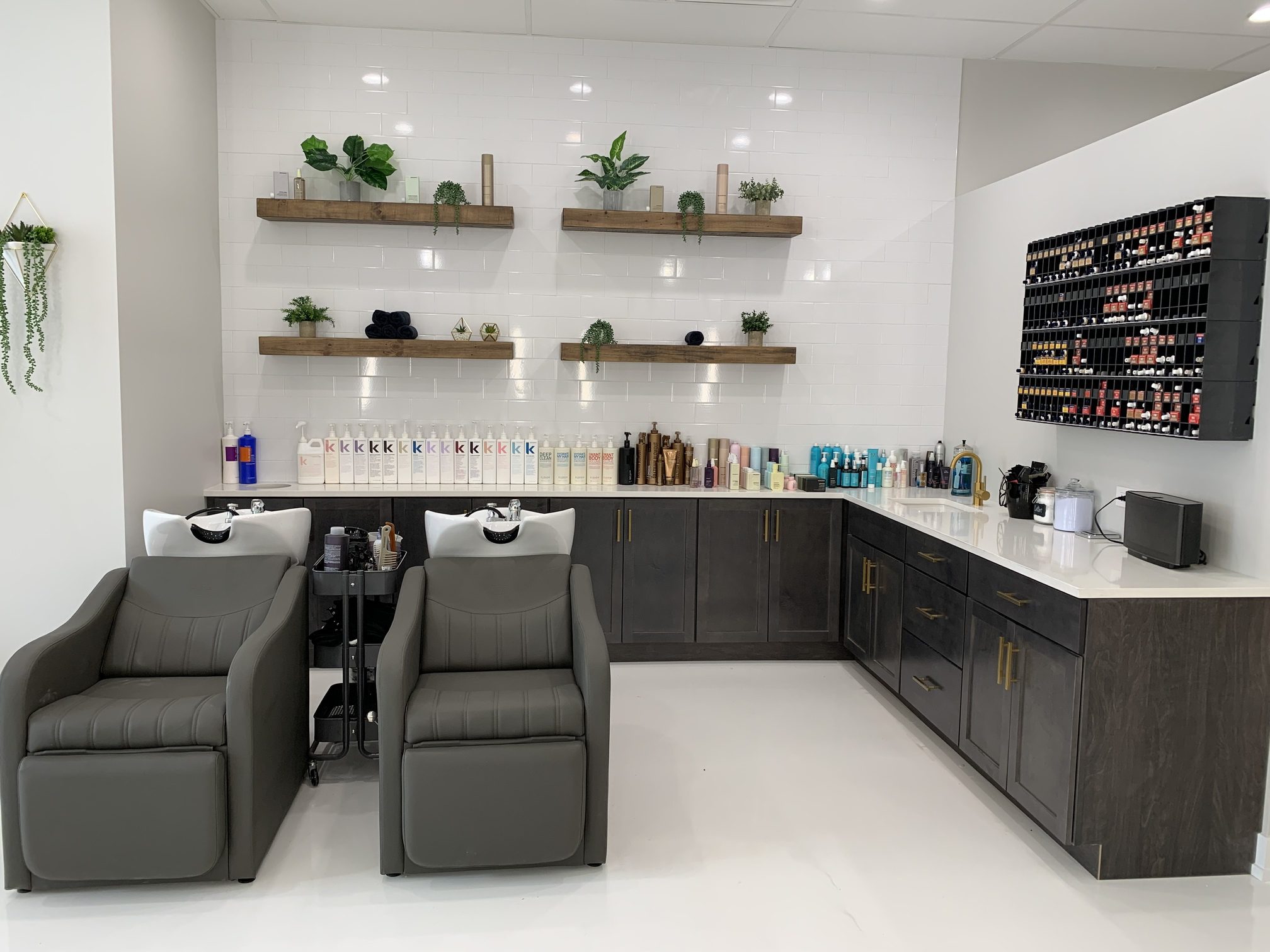 Stylish salon with plants and products