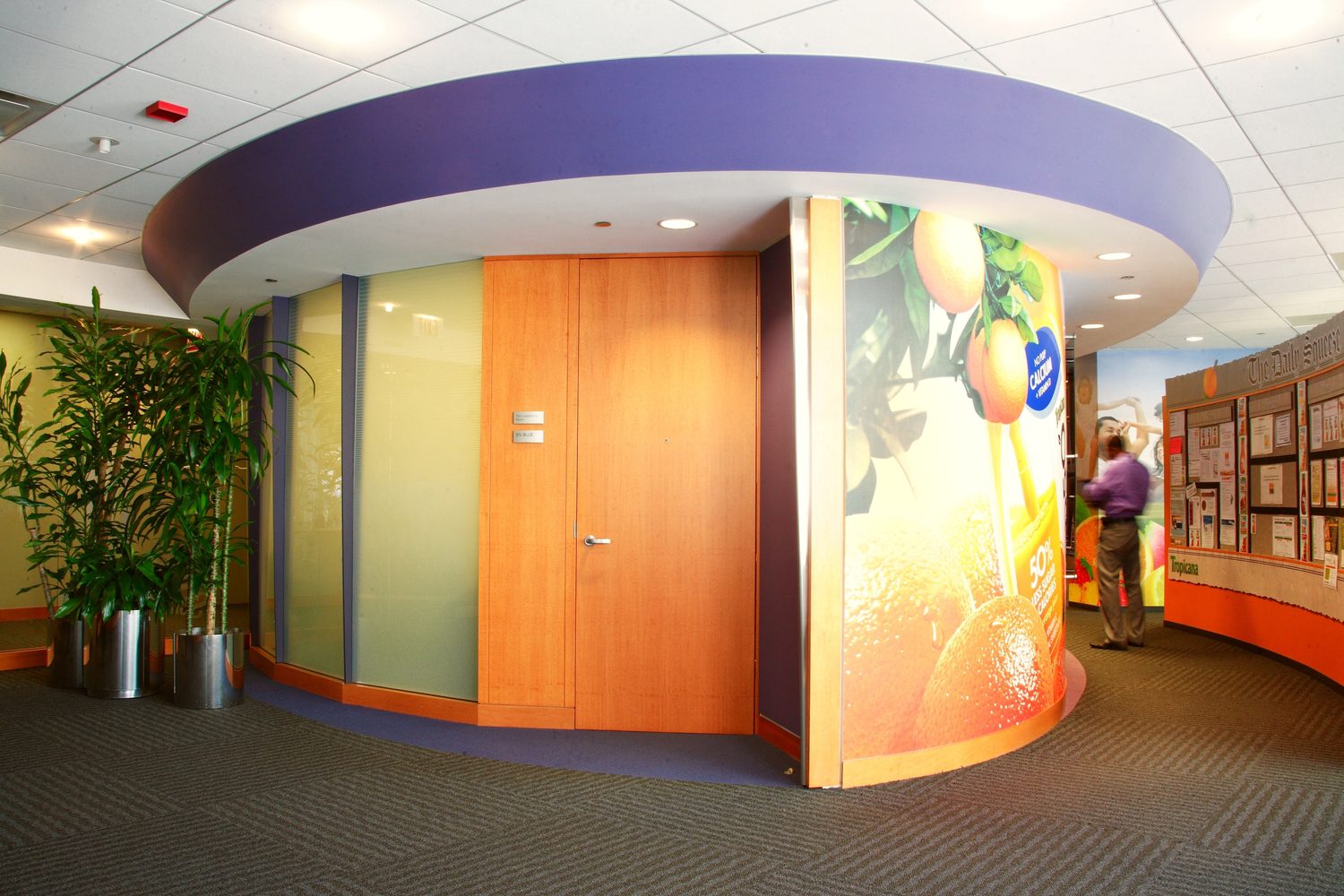 Contemporary office entrance with plant decor